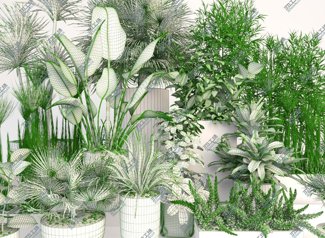 images/goods_img/20210313/Plants 19 3D/5.jpg